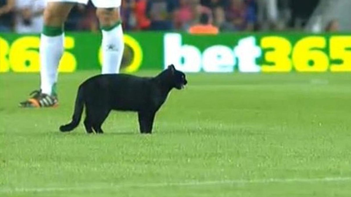 Nou Camp\'ta Beklenmedik Misafir