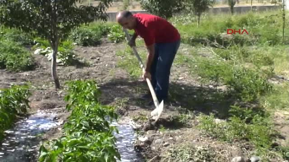 Öğrencilerin Meyve Bahçesi Köye Örnek Oldu