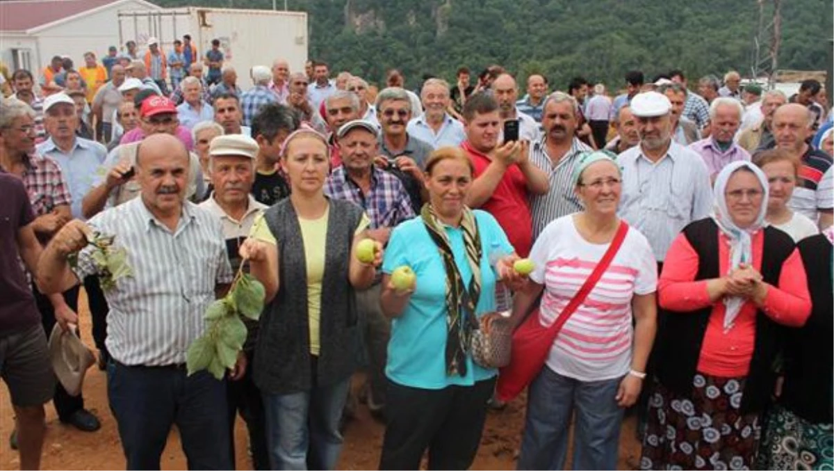 Ordu\'da "Altın Arama ve İşleme" Protestosu