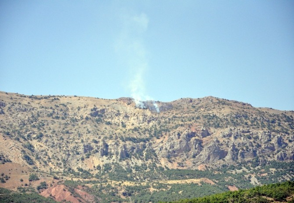 Tunceli\'de Orman Yangını