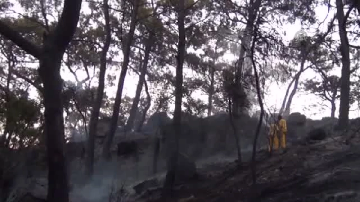 Yangında 10 hektar ormanlık alan zarar gördü -