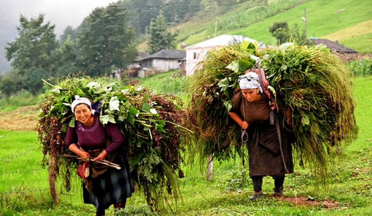 6. "Tarım ve İnsan" Fotoğraf Yarışmasına Davet