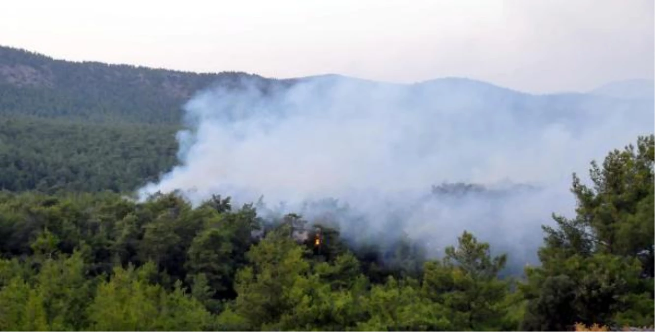 Bodrum\'da Orman Yangını