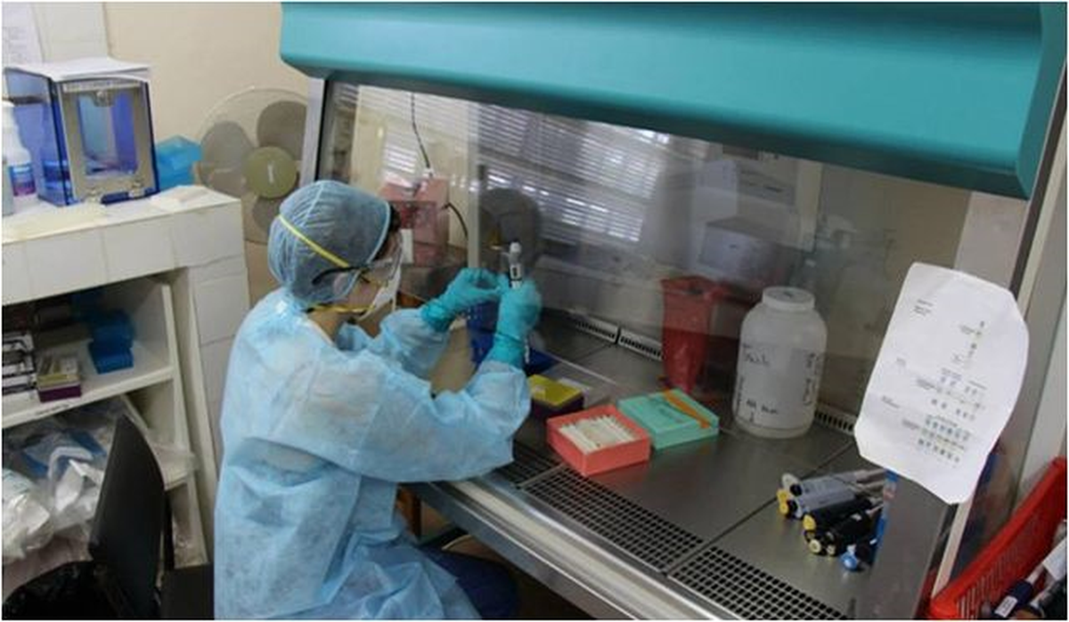 Ebolayla Mücadelede Yeni Umut