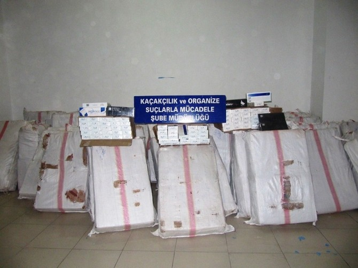 Gümrük Kaçağı 71 Bin 800 Paket Sigara Ele Geçirildi