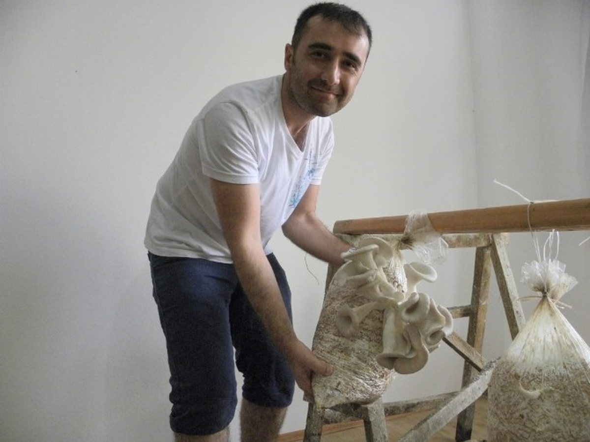 İstiridye Mantarı Yetiştiriciliği Gerçekleştirildi