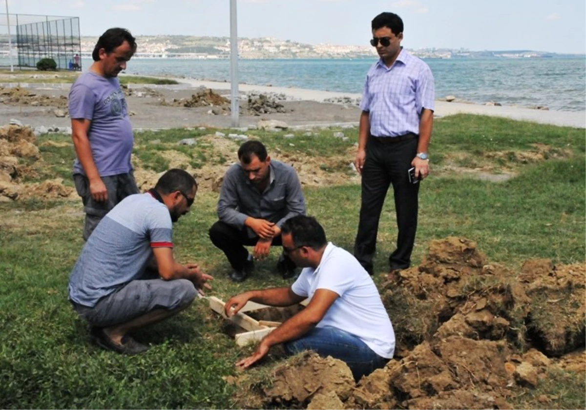 Altınova Sahili Yürüyüş Yolu Çalışmalarında Sona Yaklaşıldı