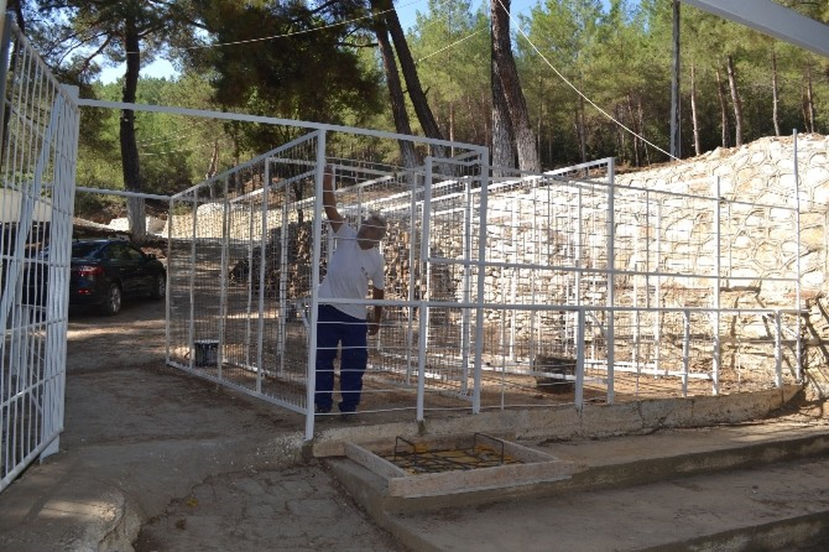 Karacasu Belediyesi, Dedebağ Hayrına Hazırlanıyor