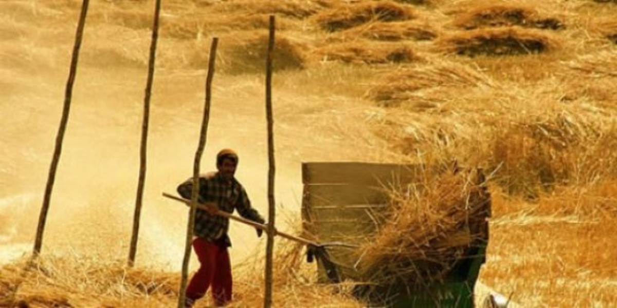 Kırklareli Ziraat Odası Tarımsal Danışmanlık Hizmetlerine Devam Ediyor