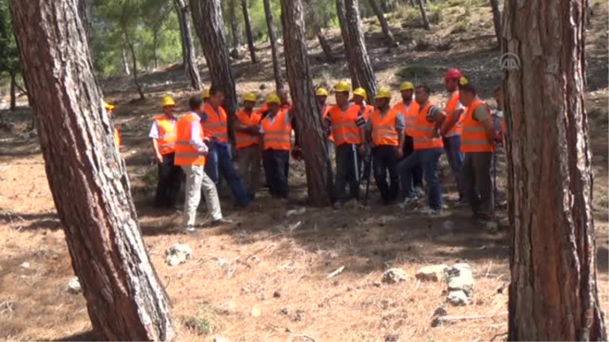 Orman İşçileri Sertifikalandırılacak