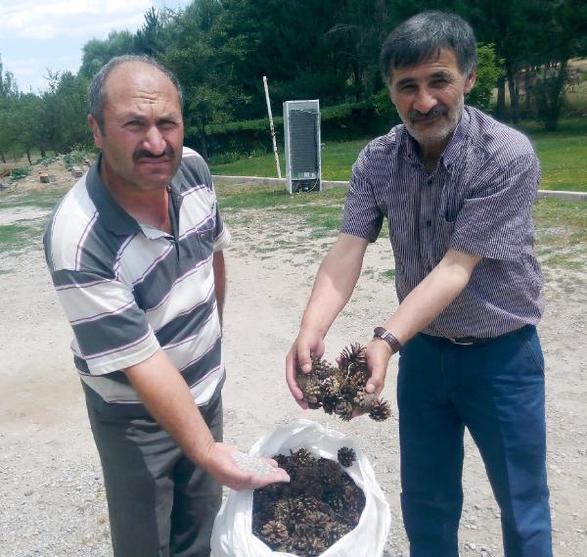 Orman Köylüsüne Kozalak Desteği