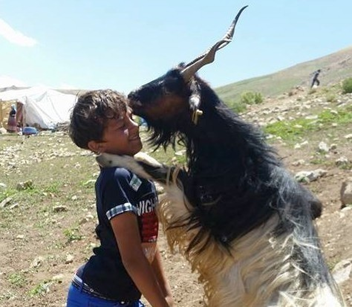 Teke\'nin Sevgisi Büyüledi