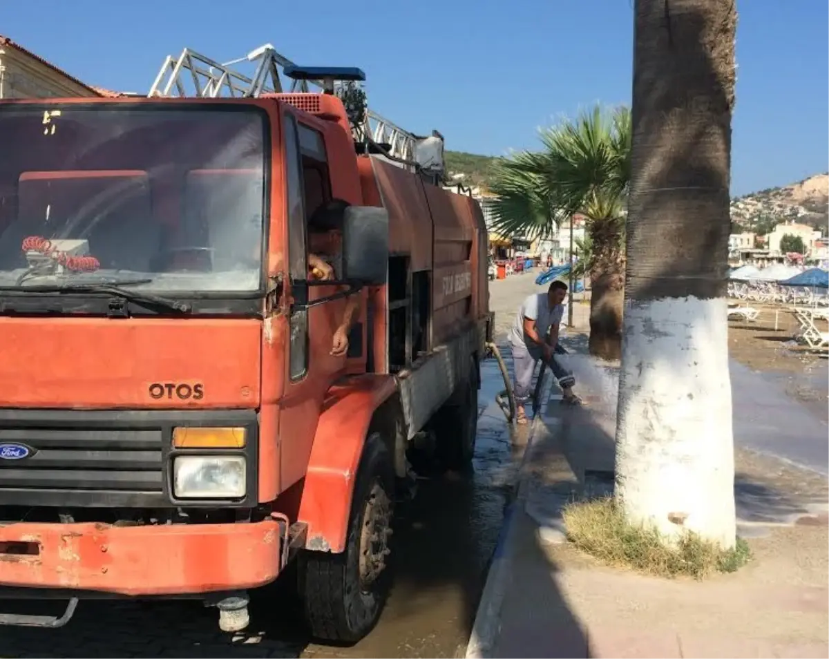 Yenifoça Sahili\'nde Çevre Temizliği