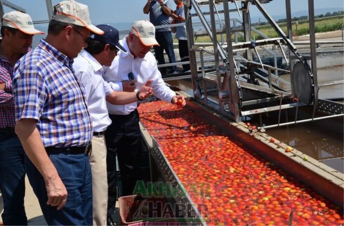 Akhisar Ticaret Borsası, Zer Salça Fabrikası\'nı Ziyaret Etti