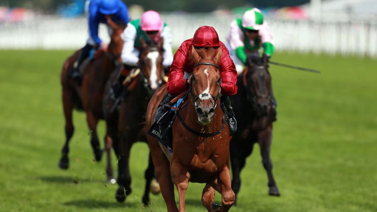 Eagle Top King George Vı ve Kraliçe Elizabeth Stakes Yarışlarına Dahil Edildi