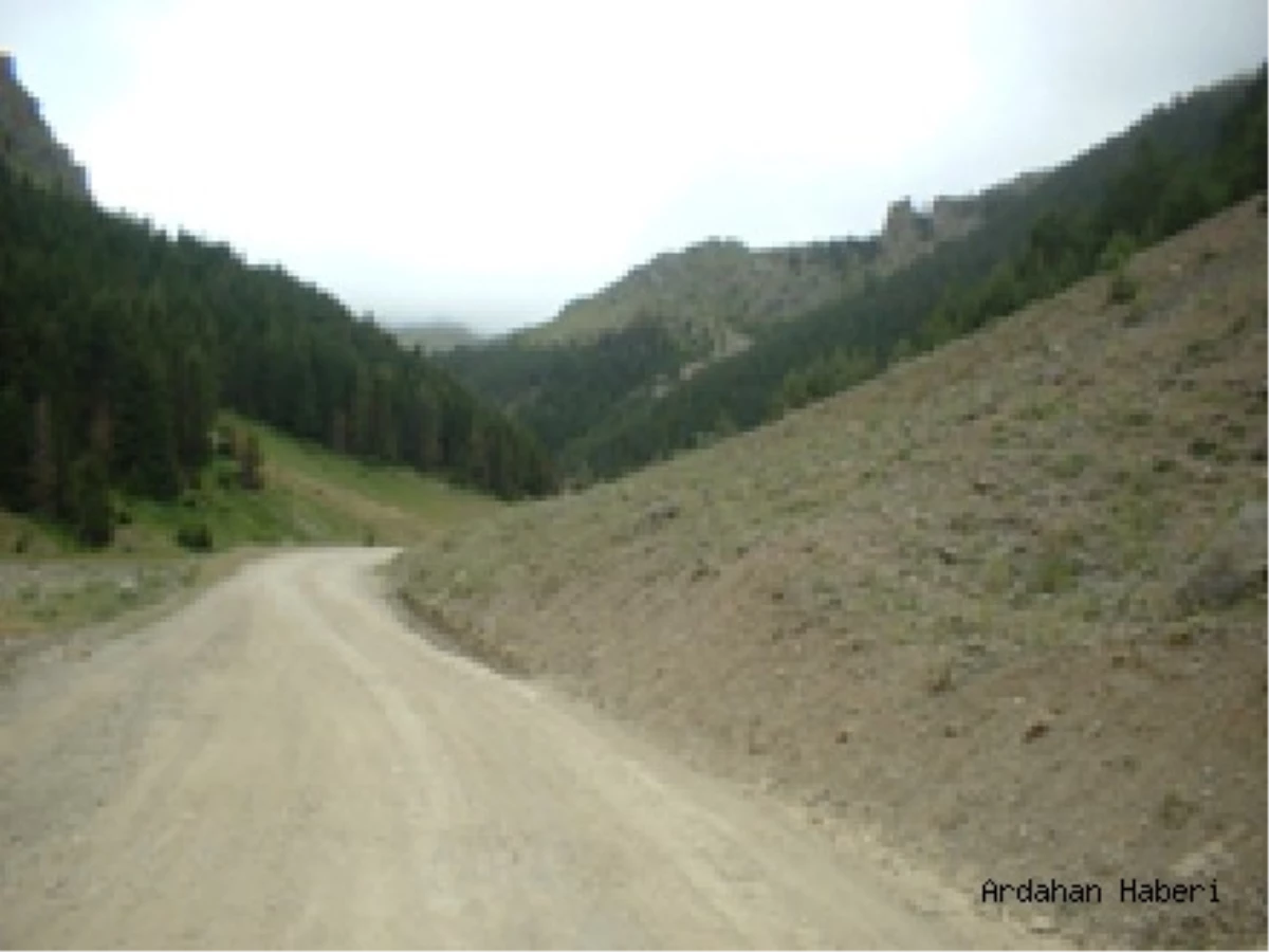 Ağzıpek Köyü Yayla Yolundaki Yaşanan Sorun Sona Erdi