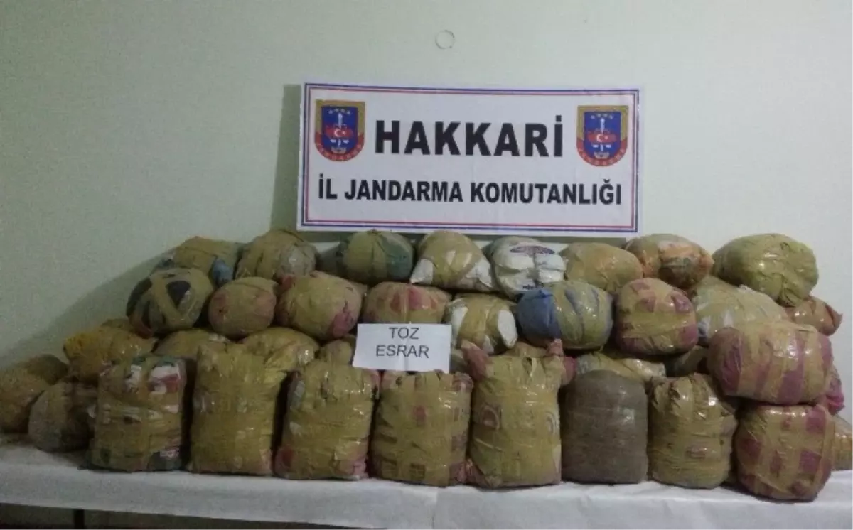 Hakkari\'de 773 Kilo Toz Esrar Ele Geçirildi