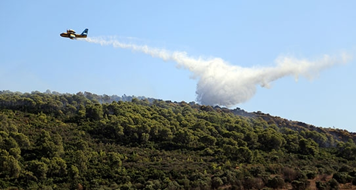 Muğla\'da Orman Yangını