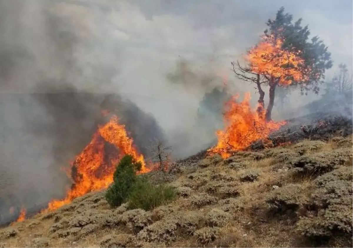 Arazi Yangını Güçlükle Kontrol Altına Alındı
