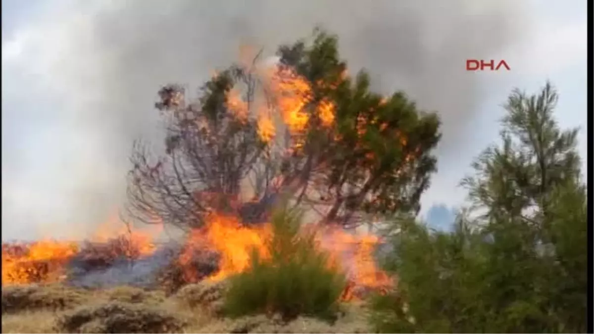 Zara'da Çıkan Yangın Kontrol Altına Alındı