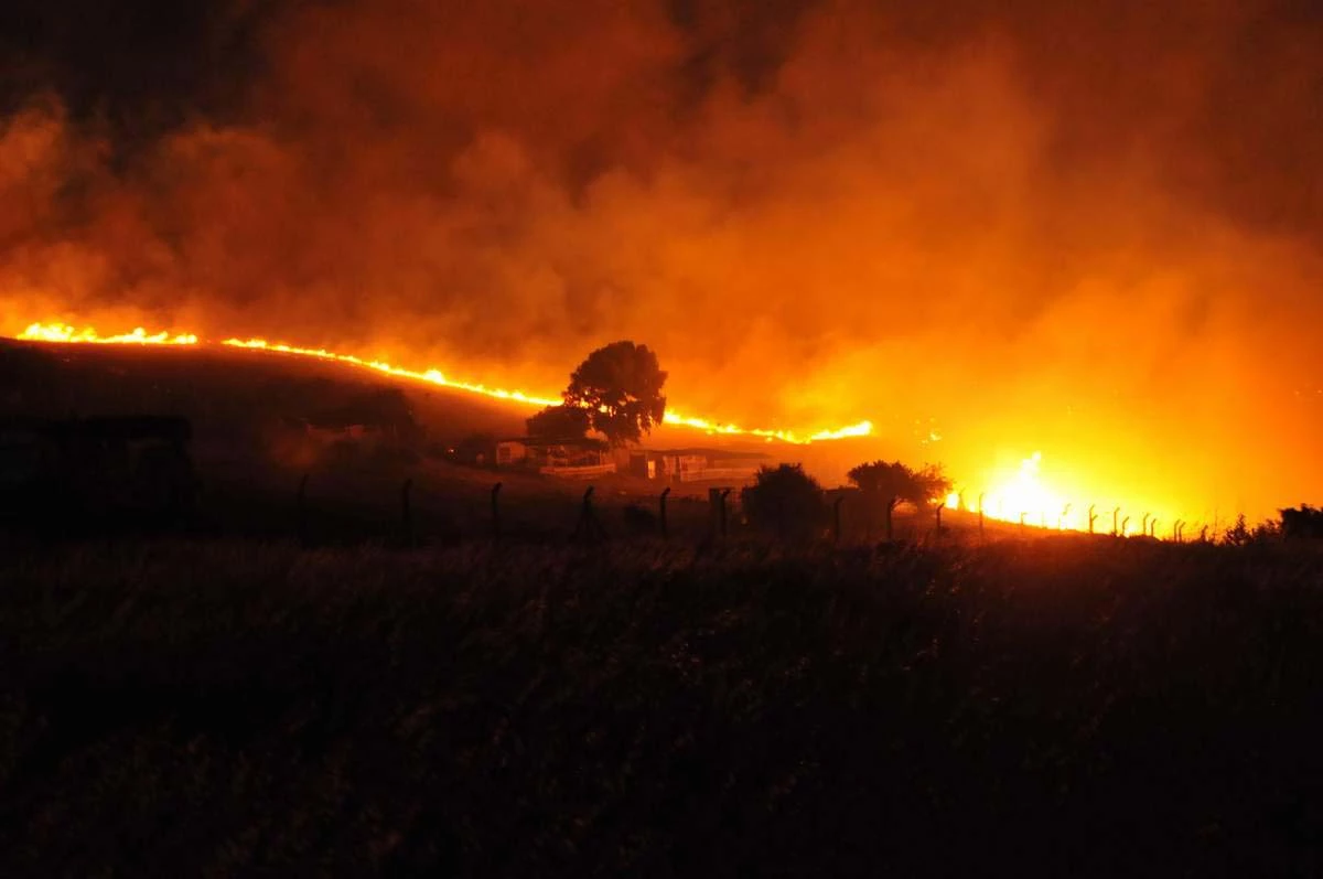 İzmir\'de Orman Yangını