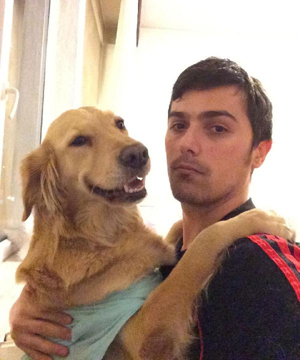 Barınakta Tutulan Köpek Tarçın Serbest
