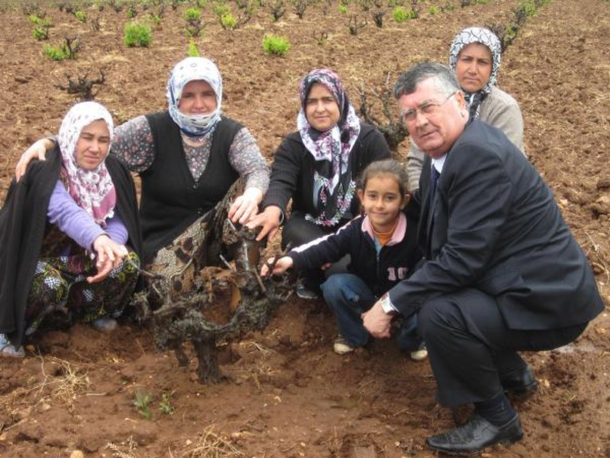 CHP\'li Keskin: Hükumet Şaraba Öcü Gözüyle Bakıyor