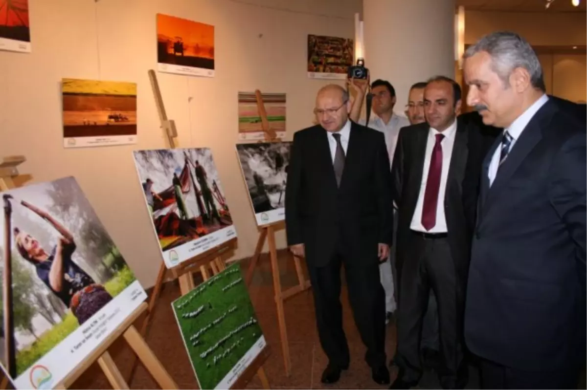 Düzce'de 5. Tarım ve İnsan Fotoğraf Sergisi