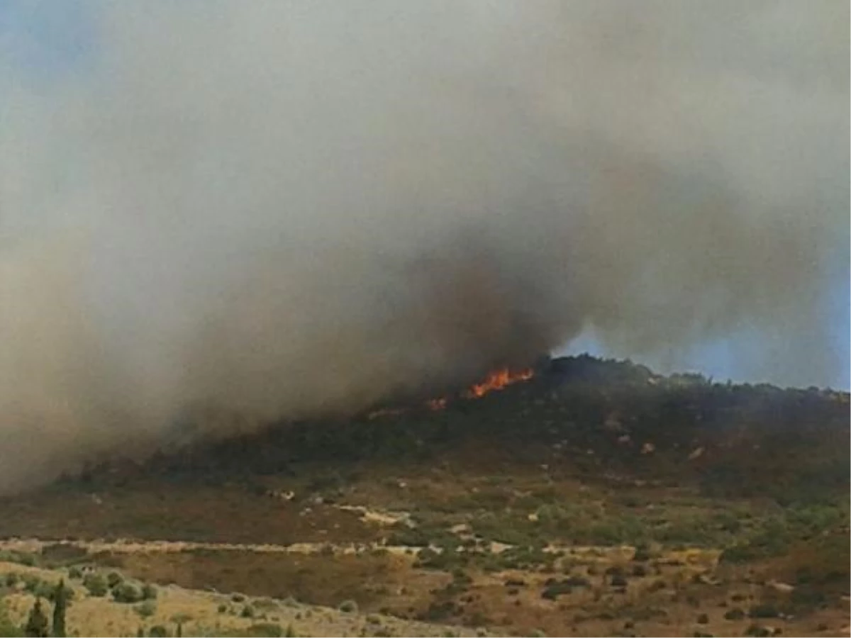 Foça\'da Makilik Alandaki Yangın Ormana da Sıçradı