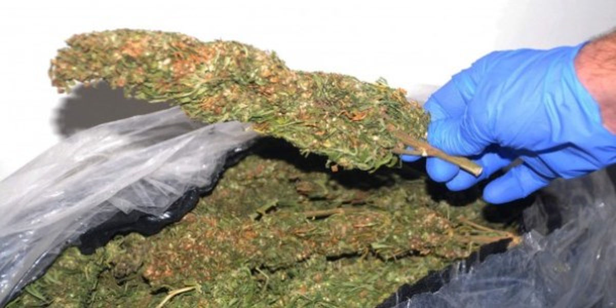 Kayseri\'de 248 Kilogram Esrar Ele Geçirildi