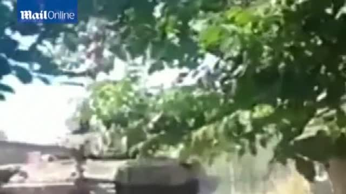 NATO Ukrayna'ya Giren Rus Birliklerinin Uydu Görüntülerini Yayınladı