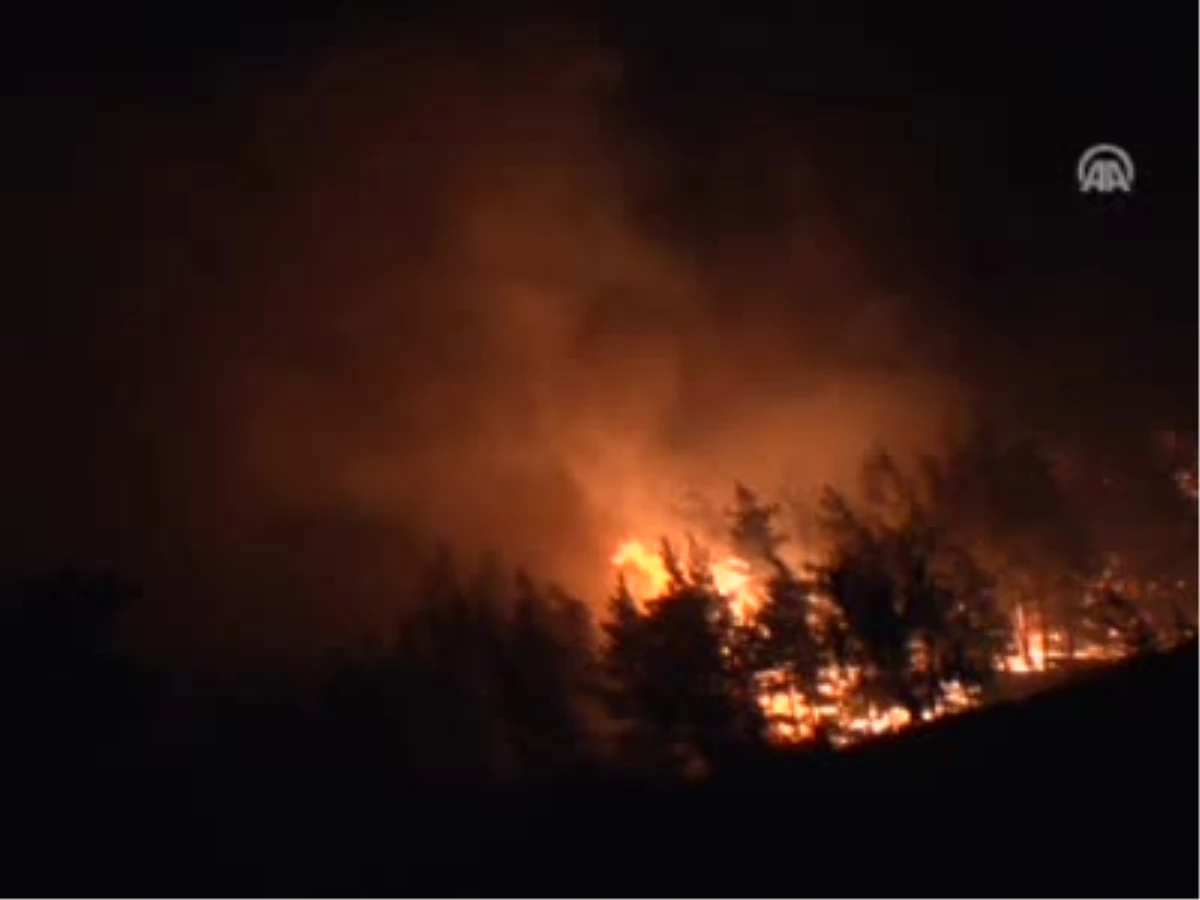 Sivas\'taki Orman Yangını Kontrol Altına Alındı