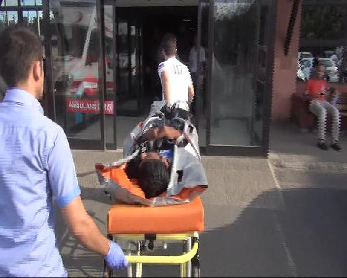 Yine Bonzai Vakası
