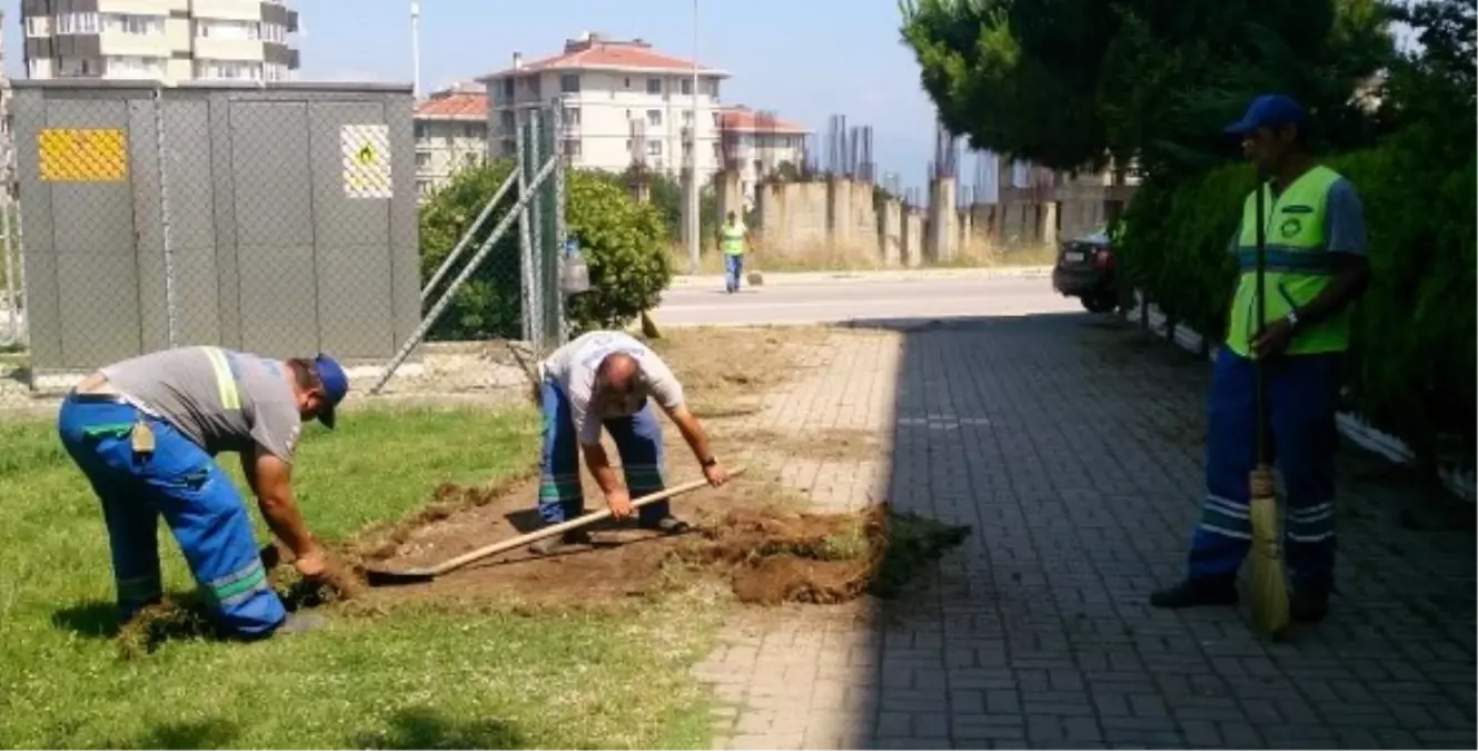 Yol Kenarları Ve Kaldırımlarda Temizlik Çalışmaları