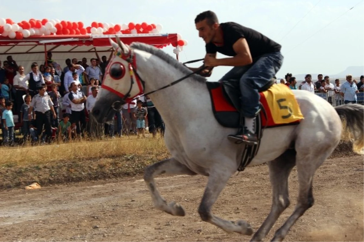 Ağrı\'da "2014 Yılı At Yarışları" Yapıldı