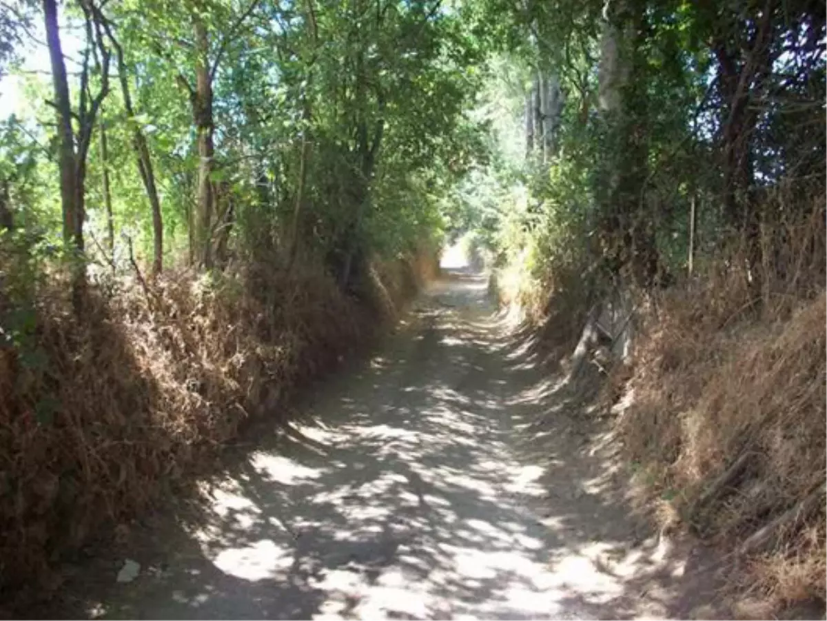 Fizik Kurallarını Alt Üst Eden Yayla