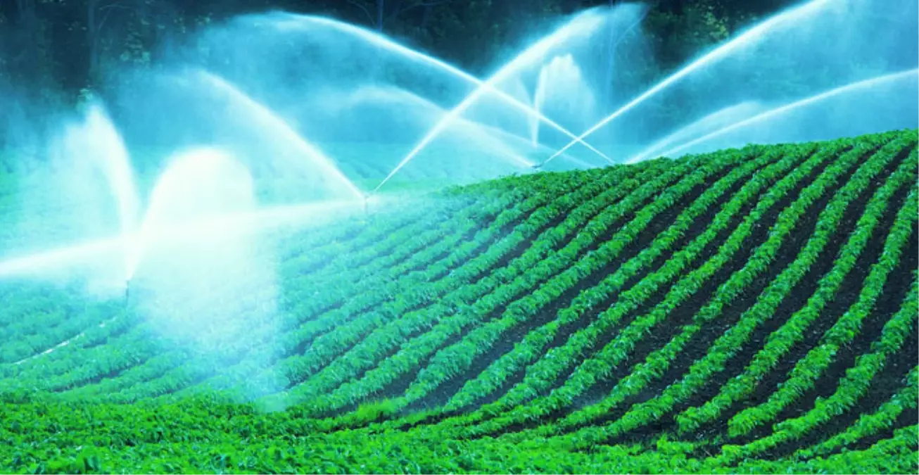 Elektrik Borcu Olan Çiftçiye Destek Yok