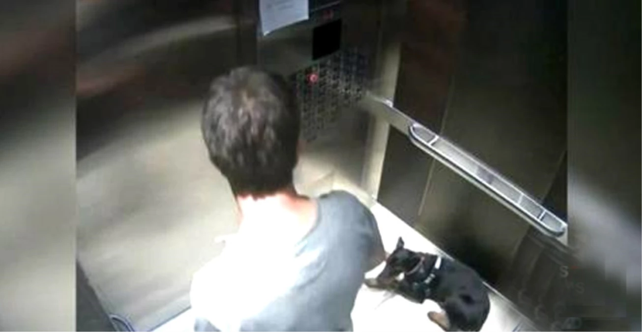Milyoner İşadamı Asansörde Köpeğini Tekmelerken Görüntülendi