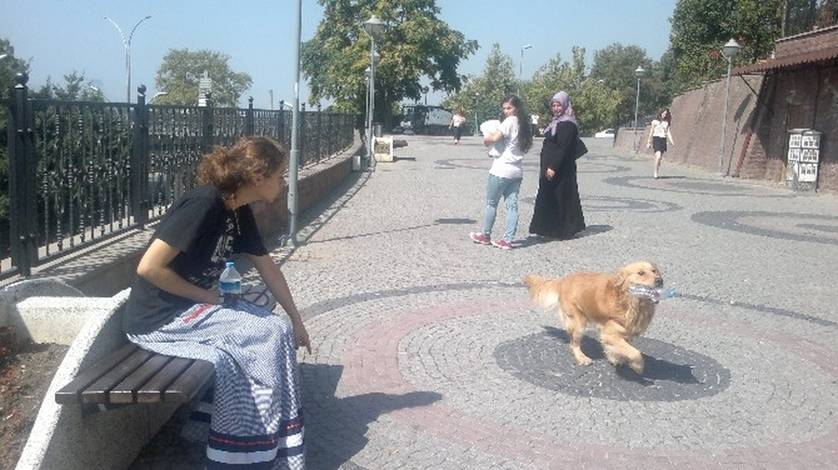 Çevreci Köpekten Önemli Mesaj