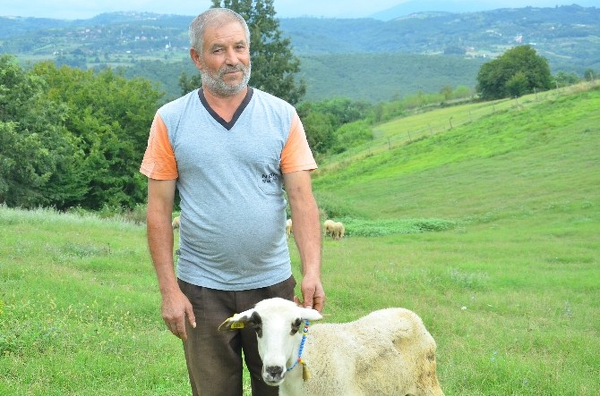 Kocaeli\'de Kurban Bayramı Öncesinde Hayvan Üreticileri Şokta