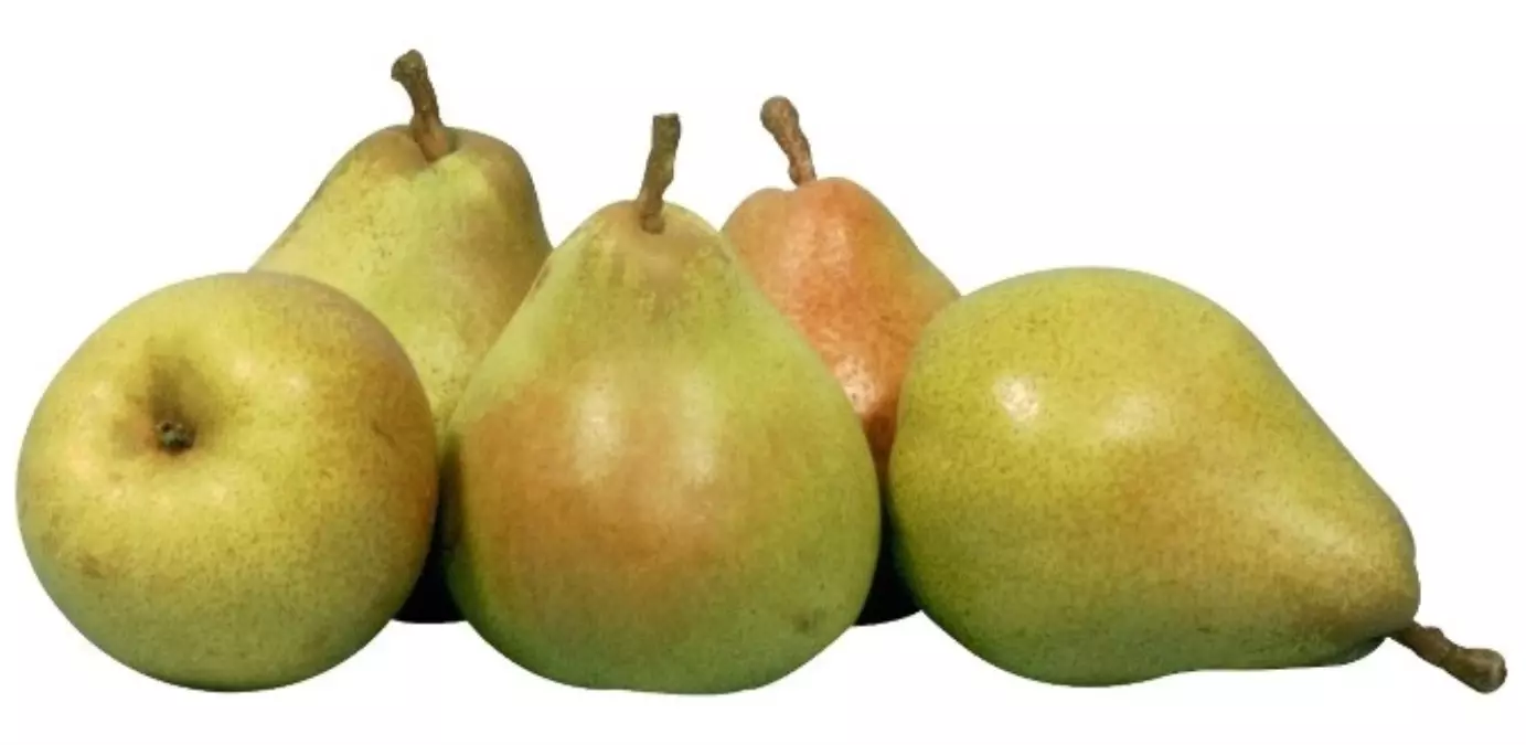 Armut Ateş Düşürüyor