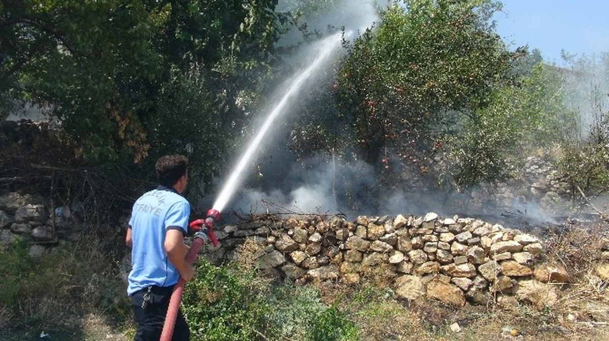Bilecik\'te Ot Yangını Paniğe Neden Oldu