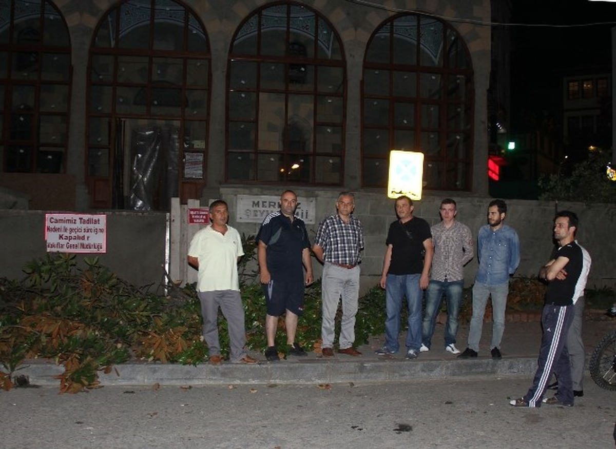 Gece Yarısı Kesilen Ağaçlar Tepkiye Neden Oldu
