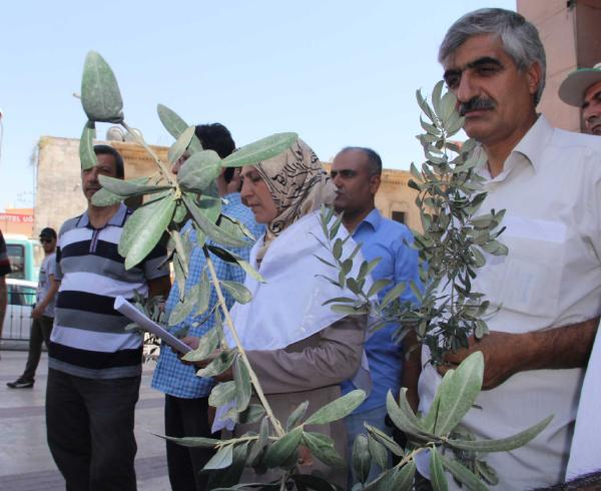 Şanlıurfa\'da Mazlum-Der Üyelerinden Zeytin Dalı ile Barış Çağrısı
