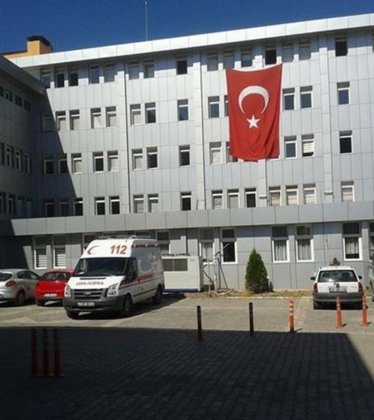 Gümüşhane\'de Ayı Saldırısı