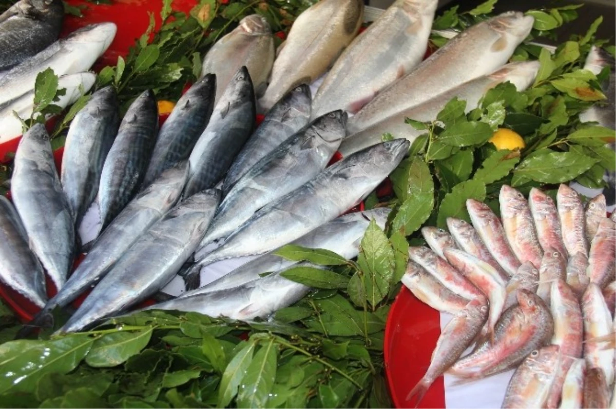 Samsun\'da Balık Tezgahları Şenlendi