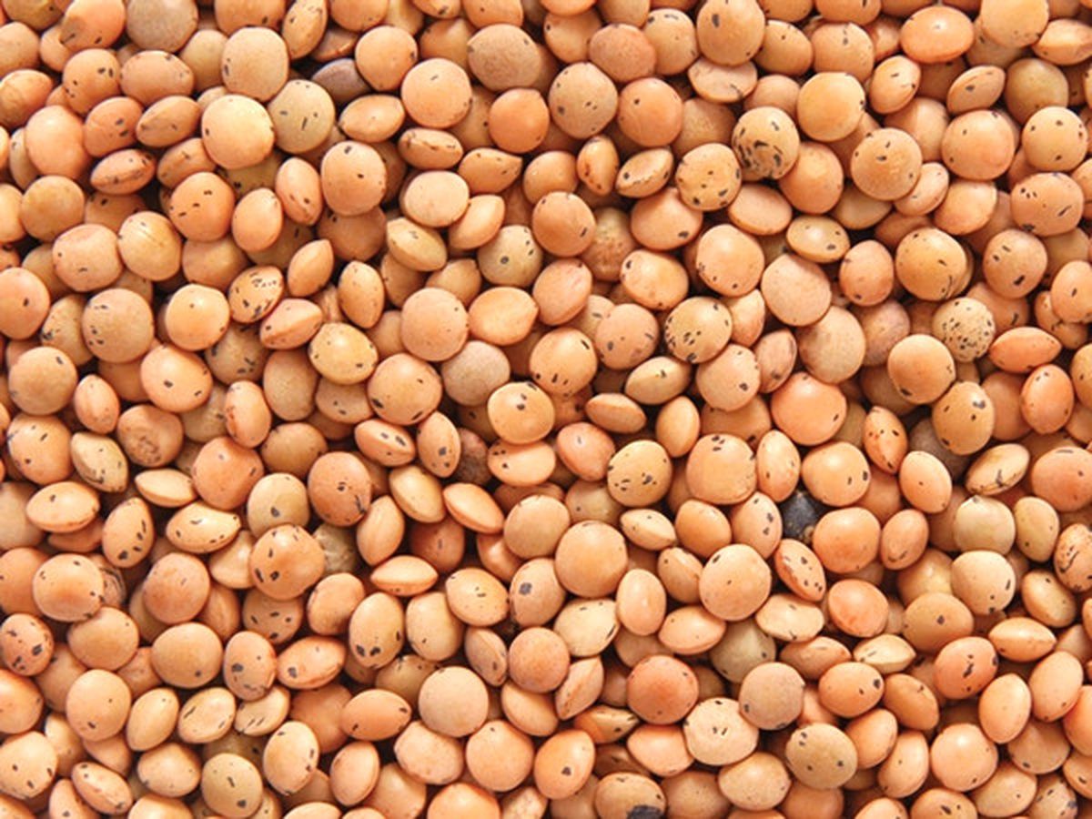 Şanlıurfa Ticaret Borsasında Ürün Fiyatları