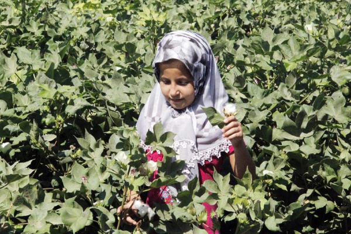 Şanlıurfalı Çiftçiler Bakanlar Kurulu Kararına Tepkili