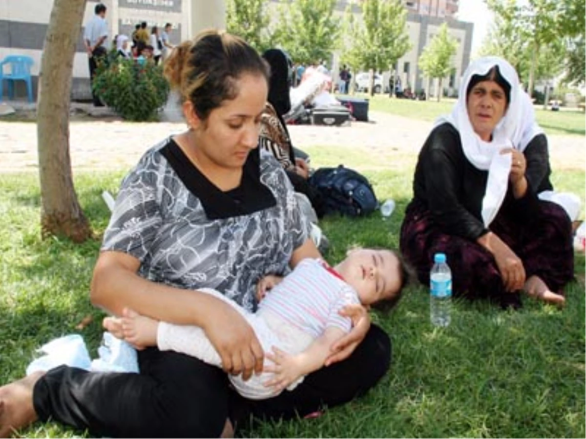 10 Aylık Aleksa Annesinin Sütü ve Tükürüğüyle Hayatta Kaldı