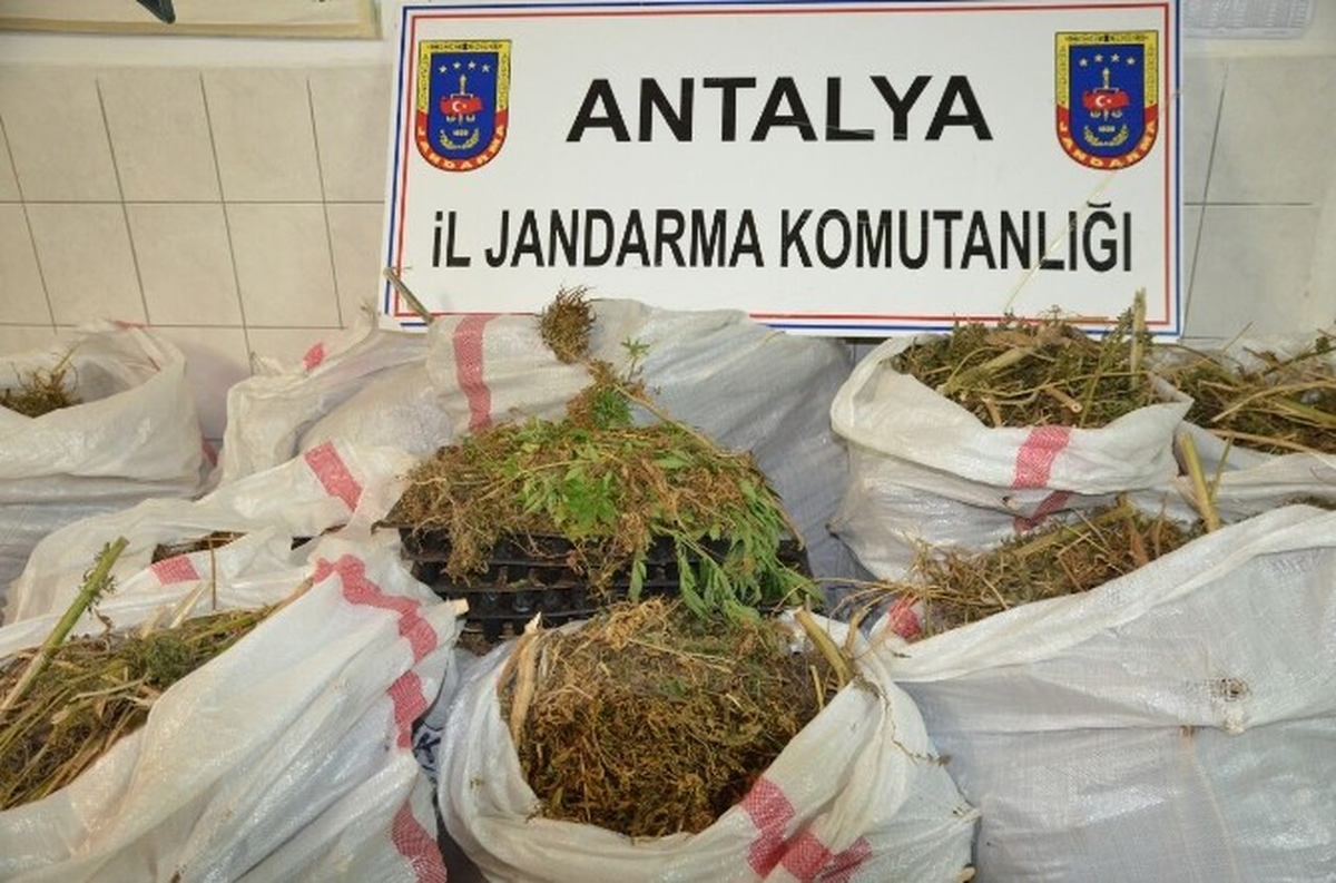 Antalya\'da Jandarmadan Uyuşturucu Operasyonu